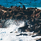 Reportage Namibia, Africa photographed by the photographer Silvia Boccato
