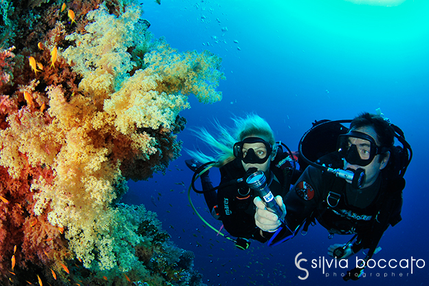 Reportage diving destinations in the Red Sea by the underwater photographer Silvia Boccato