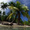 Reportage diving destinations in the French Polynesia by the underwater photographer Silvia Boccato