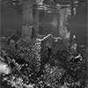 Reportage above and below of Italy fresh water, Capo d'Acqua spring, Abruzzo photographed by the photographer Silvia Boccato