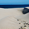 Reportage above and below of Baja California, Mexico by the underwater photographer Silvia Boccato