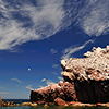 Reportage above and below of Baja California, Mexico by the underwater photographer Silvia Boccato
