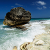 Reportage above and below of Bonaire Netherland Antilles by the underwater photographer Silvia Boccato
