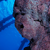 Reportage above and below of Bonaire Netherland Antilles by the underwater photographer Silvia Boccato