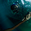 Reportage above and below of Cebu, Filippines by the underwater photographer Silvia Boccato