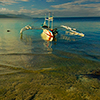 Reportage above and below of Cebu, Filippines by the underwater photographer Silvia Boccato
