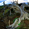 Reportage above and below of Canary Islands, Spain by the underwater photographer Silvia Boccato