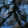 Flying over the sea and diving in fresh water of the Florida's Springs with the photographer Silvia Boccato