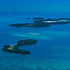 Flying over the sea and diving in fresh water of the Florida's Springs with the photographer Silvia Boccato