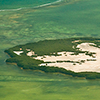 Flying over the sea and diving in fresh water of the Florida's Springs with the photographer Silvia Boccato